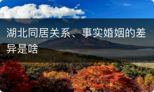 湖北同居关系、事实婚姻的差异是啥
