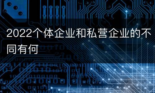 2022个体企业和私营企业的不同有何