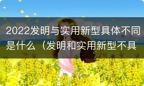 2022发明与实用新型具体不同是什么（发明和实用新型不具有什么特性）