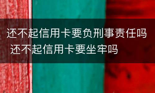 还不起信用卡要负刑事责任吗 还不起信用卡要坐牢吗