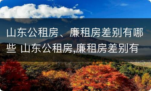 山东公租房、廉租房差别有哪些 山东公租房,廉租房差别有哪些原因