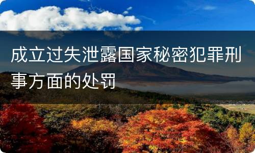成立过失泄露国家秘密犯罪刑事方面的处罚
