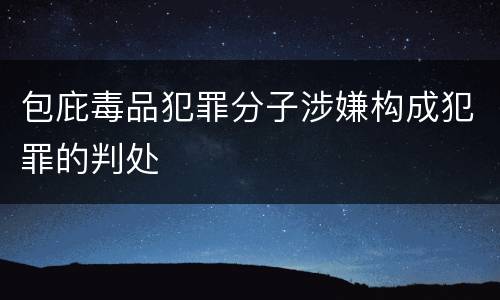 包庇毒品犯罪分子涉嫌构成犯罪的判处