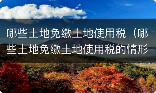 哪些土地免缴土地使用税（哪些土地免缴土地使用税的情形）