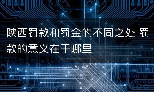 陕西罚款和罚金的不同之处 罚款的意义在于哪里