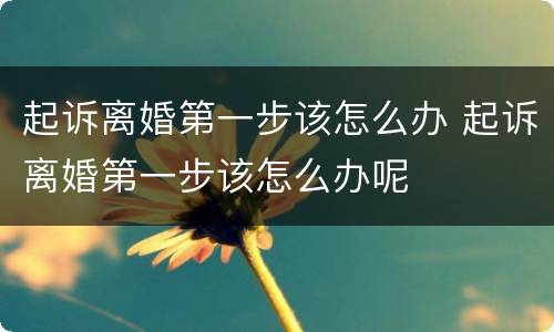 起诉离婚第一步该怎么办 起诉离婚第一步该怎么办呢