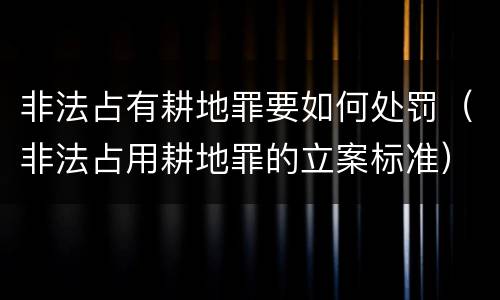 非法占有耕地罪要如何处罚（非法占用耕地罪的立案标准）