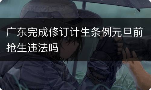 广东完成修订计生条例元旦前抢生违法吗