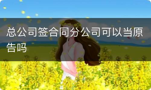 总公司签合同分公司可以当原告吗