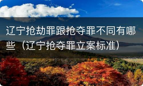 辽宁抢劫罪跟抢夺罪不同有哪些（辽宁抢夺罪立案标准）