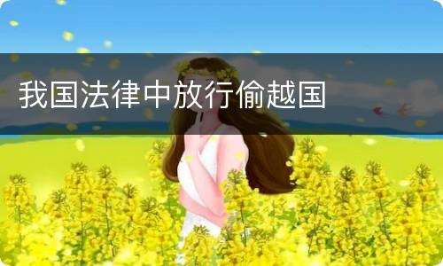我国法律中放行偷越国