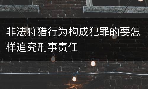 非法狩猎行为构成犯罪的要怎样追究刑事责任
