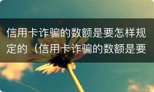 信用卡诈骗的数额是要怎样规定的（信用卡诈骗的数额是要怎样规定的呢）
