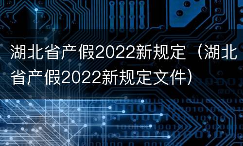 湖北省产假2022新规定（湖北省产假2022新规定文件）