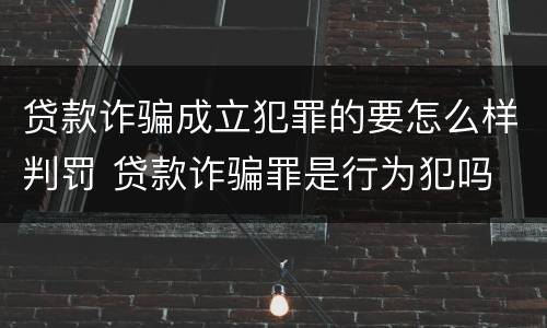 贷款诈骗成立犯罪的要怎么样判罚 贷款诈骗罪是行为犯吗
