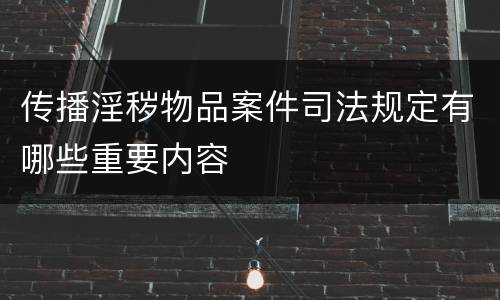 传播淫秽物品案件司法规定有哪些重要内容