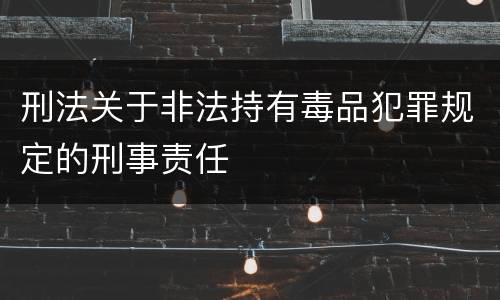刑法关于非法持有毒品犯罪规定的刑事责任