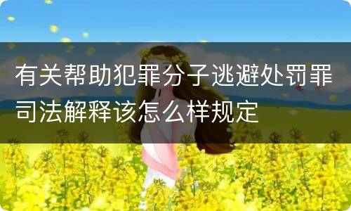 有关帮助犯罪分子逃避处罚罪司法解释该怎么样规定
