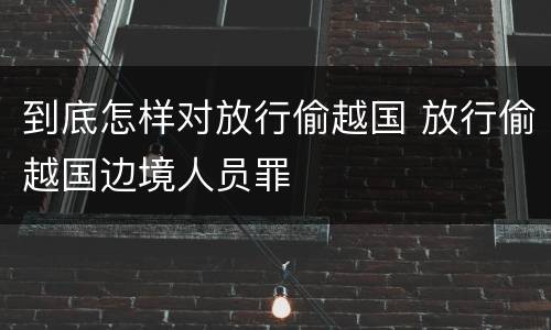 到底怎样对放行偷越国 放行偷越国边境人员罪