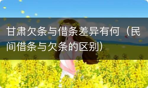 甘肃欠条与借条差异有何（民间借条与欠条的区别）