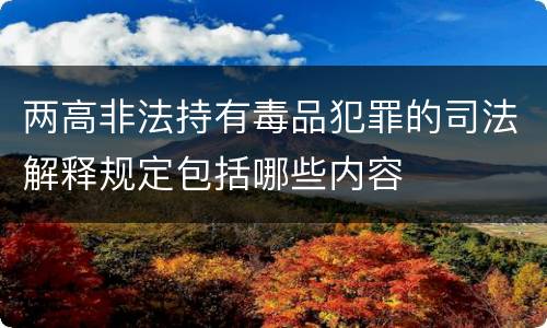 两高非法持有毒品犯罪的司法解释规定包括哪些内容