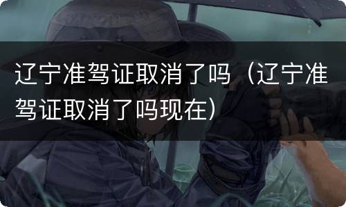 辽宁准驾证取消了吗（辽宁准驾证取消了吗现在）