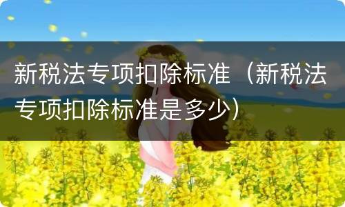 新税法专项扣除标准（新税法专项扣除标准是多少）