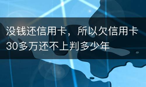 没钱还信用卡，所以欠信用卡30多万还不上判多少年