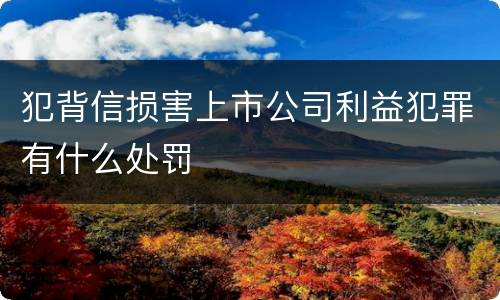 犯背信损害上市公司利益犯罪有什么处罚