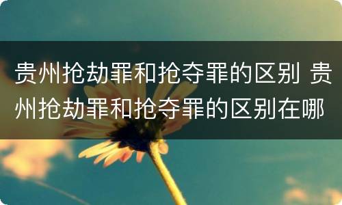 贵州抢劫罪和抢夺罪的区别 贵州抢劫罪和抢夺罪的区别在哪