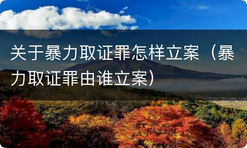 关于暴力取证罪怎样立案（暴力取证罪由谁立案）