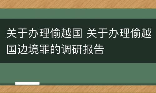 关于办理偷越国 关于办理偷越国边境罪的调研报告