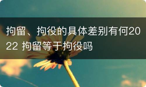 拘留、拘役的具体差别有何2022 拘留等于拘役吗