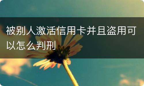 被别人激活信用卡并且盗用可以怎么判刑