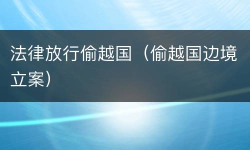 法律放行偷越国（偷越国边境立案）