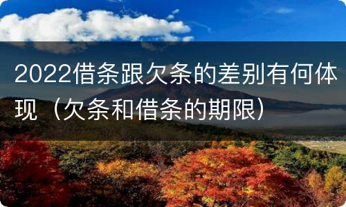 2022借条跟欠条的差别有何体现（欠条和借条的期限）