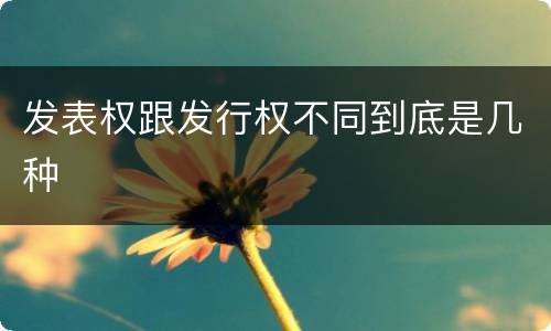 发表权跟发行权不同到底是几种