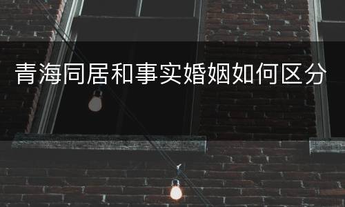 青海同居和事实婚姻如何区分