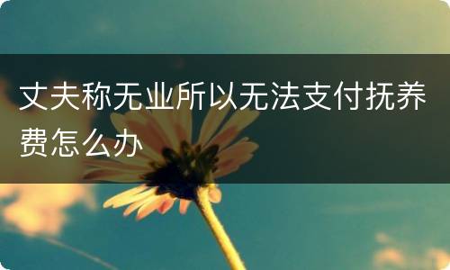 丈夫称无业所以无法支付抚养费怎么办