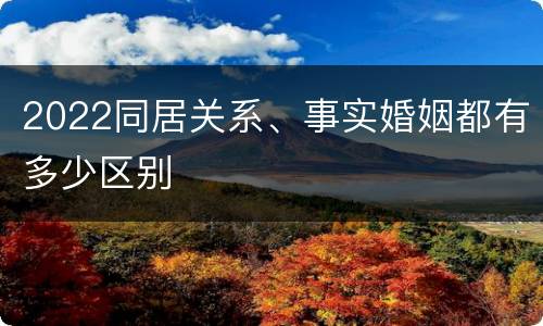 2022同居关系、事实婚姻都有多少区别