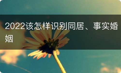 2022该怎样识别同居、事实婚姻