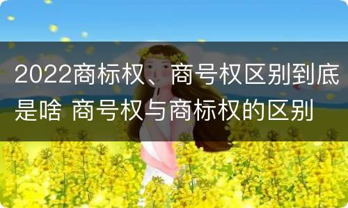 2022商标权、商号权区别到底是啥 商号权与商标权的区别