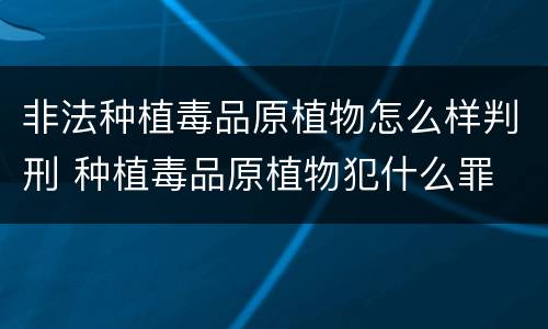非法种植毒品原植物怎么样判刑 种植毒品原植物犯什么罪
