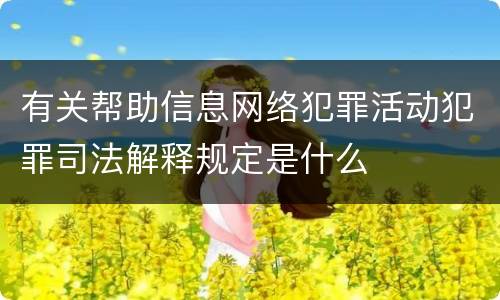 有关帮助信息网络犯罪活动犯罪司法解释规定是什么