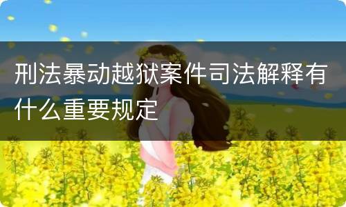 刑法暴动越狱案件司法解释有什么重要规定