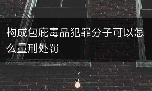 构成包庇毒品犯罪分子可以怎么量刑处罚