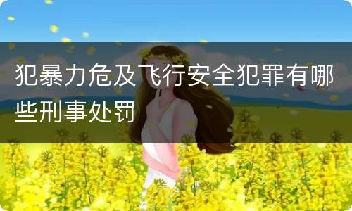犯暴力危及飞行安全犯罪有哪些刑事处罚