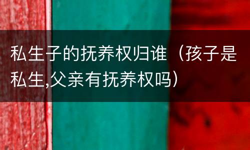 私生子的抚养权归谁（孩子是私生,父亲有抚养权吗）