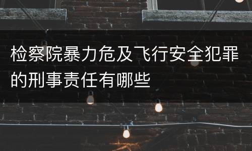检察院暴力危及飞行安全犯罪的刑事责任有哪些