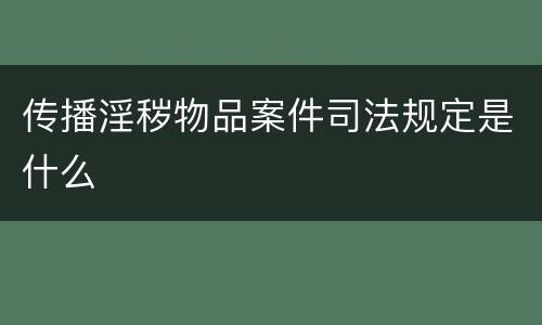 传播淫秽物品案件司法规定是什么